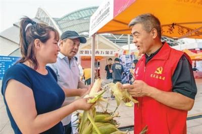 此次沈阳马 此次沈阳马