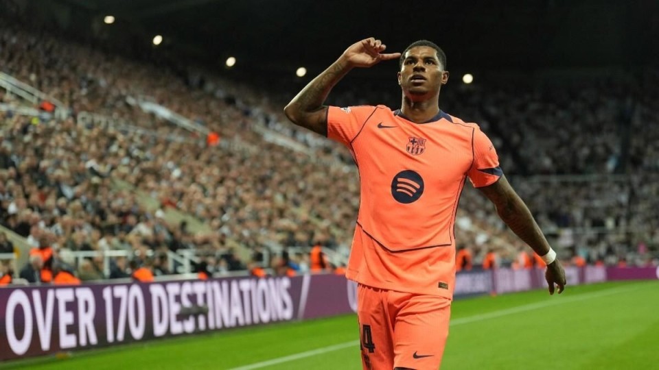 确认进展显, 经很好地融